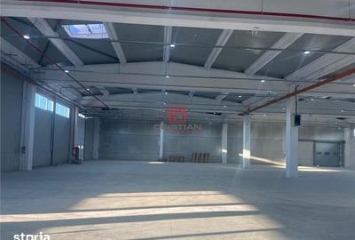 Spațiu comercial, de 1,600 mp, în Bolintin-Deal - 9
