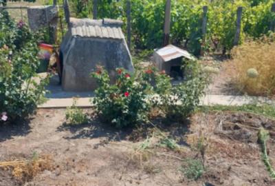 Casă cu 4 camere cu Teren 945 Mp în Cobadin - 6