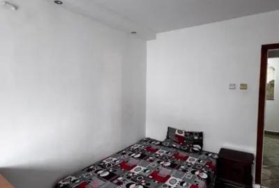 Apartament cu 3 camere decomandat în Lăpuș Argeș - 7