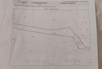 Casă cu 4 camere cu Teren 2000 Mp în Gura Vadului - 5