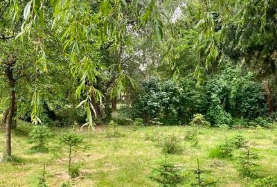 In apropierea Salinei Praid imobil cu teren 2400 mp + casa 270 mp - 9