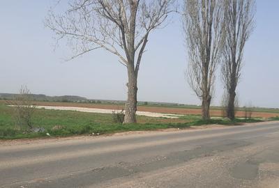 Teren intravilan la vanzare in Loc. Mihailesti - 4