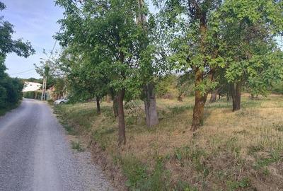 Teren de 3989 mp, în Podgoria - 2
