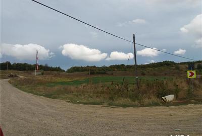 Teren de 15000 mp, în Poieni - 1