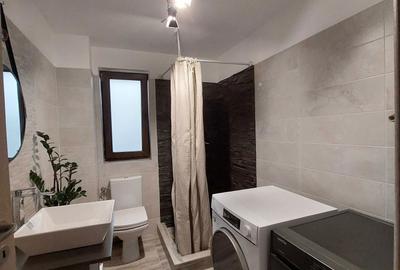 Casă cu 2 camere în Valea Adâncă - 2