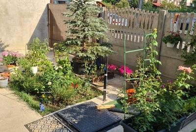 Duplex cu 7 camere cu Teren 250 Mp în Haliu - 7