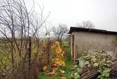 Casa + 1700 m teren in Vitane?ti, Teleorman 35.000 (negociabil) - 4