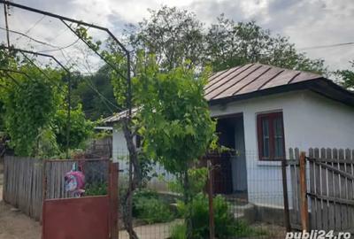 Casă cu 3 camere cu Teren 5000 Mp în Mozăceni - 7
