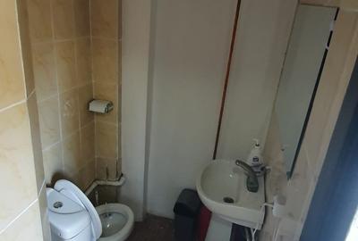 Ultracentral, se inchiriaza spatiu comercial 250 mp, pret 580 euro lunar - 19