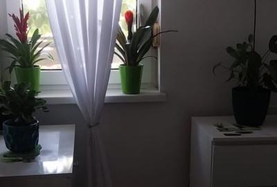 Garsonieră decomandată în Olteniței - 5