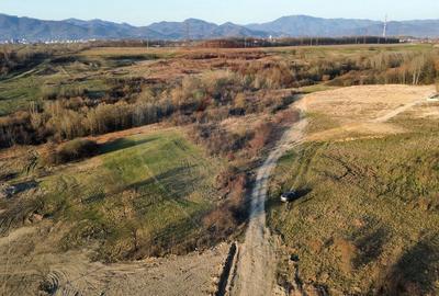 Teren Construcții intravilan de 5783 mp, în Satu Nou de Jos - 3