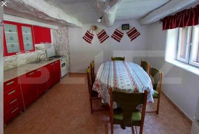 Casa individuala cu 3 camere, 217 mp utili,2800 teren,Intregalde - 6