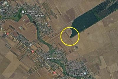 Vanzare teren Frumusani, 7.961 mp, D: 175 m, 11 EUR mp , langa padure - 5
