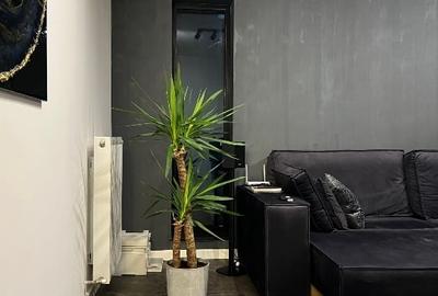 Apartament cu 2 camere decomandat, mobilat în Chiajna - 5