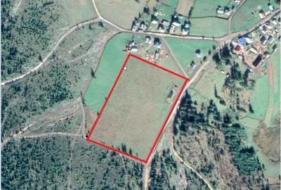 Vand Teren in Maguri, comuna Maguri-Racatau - 1