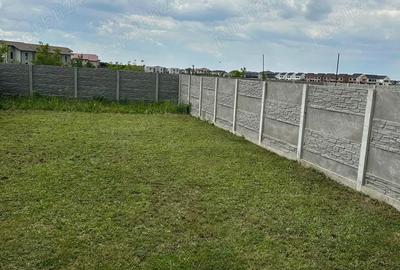 Casă cu Teren 350 Mp în Dumbrăvița - 5
