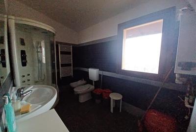 Afacere La Cheie Otopeni- Therme Hala Industriala Showroom - 15