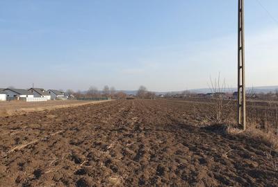 Teren de 1624 mp, în Holboca - 3