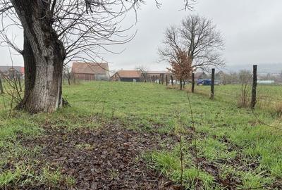 Spațiu comercial, în Comana - 5