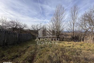 Casă cu 4 camere cu Teren 2231 Mp în Cerbăl - 6