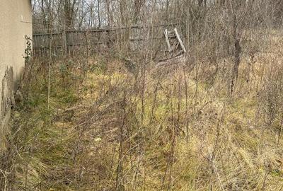 Casă cu 2 camere în Carpen - 4