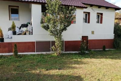 Casă cu 3 camere în Sânmihaiu Almașului - 1