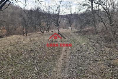 Teren de 3448 mp, în Provița de Jos - 2