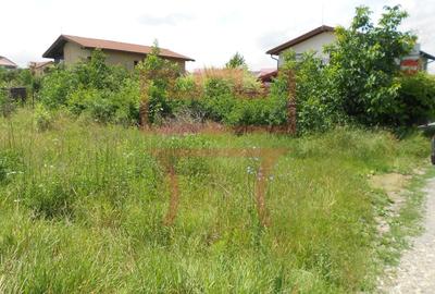 Vanzare teren in Faget  zona Hotel Stil cu PUZ spre aprobare - 2