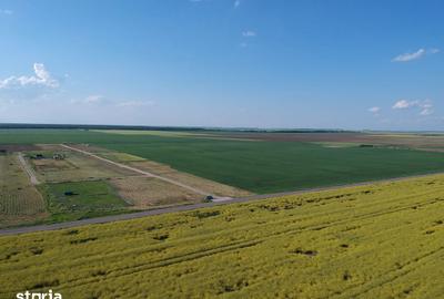 Teren de 4750 mp, în Vasilați - 9