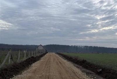 Teren Pausa langa padure - 2