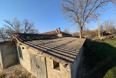 Casa batraneasca teren - Cerna (jud. Tulcea) - 6