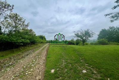 Teren Construcții intravilan de 3507 mp, în Seaca (Călimănești) - 2