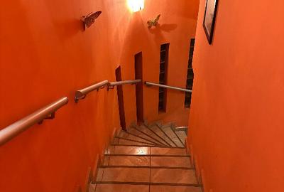 Vila Vatra Noua 5 Camere New 2025 - 4