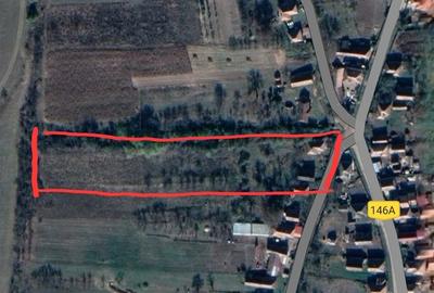 Casa + teren intravilan 6600mp A?chileu Mare - 3