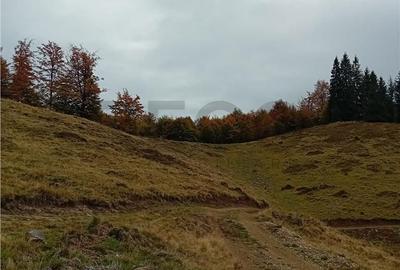 Teren de 2000 mp, în Curățele - 5