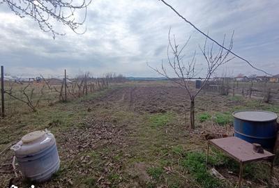 Casă cu 2 camere cu Teren 1400 Mp în Central - 5