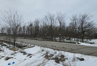 Teren Construcții intravilan de 2667 mp, în Săbăreni - 1