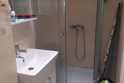 Garsonieră semidecomandată în Lunca Cetățuii - 11