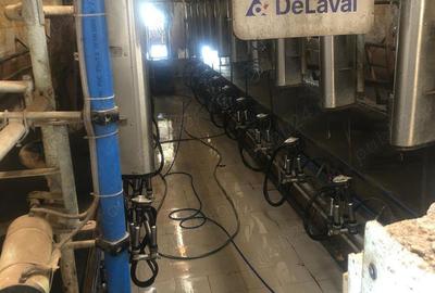 Vand ferma cu vaci - 9