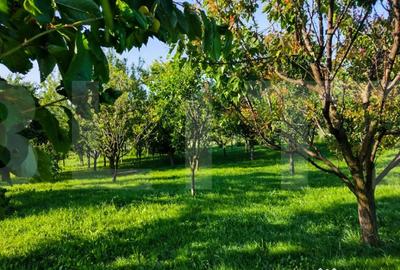 Casă cu 2 camere cu Teren 2382 Mp în Aiton - 4