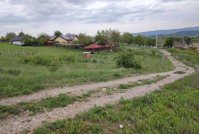 Teren Construcții intravilan de 540 mp, în Miroslava - 4