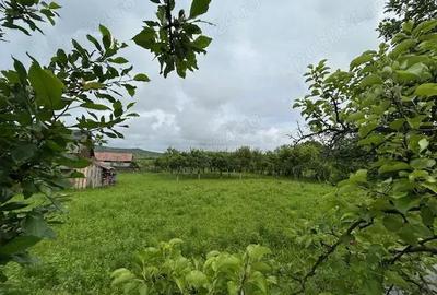 Casă cu 4 camere în Rușii-Munți - 7