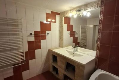 Sanandrei Central Casa 4 Camere - 15