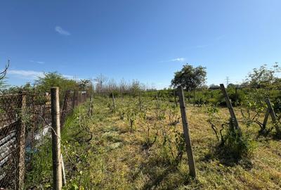 Teren intravilan 1090 mp - Campineanca - 3