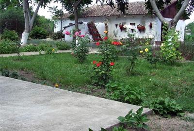 Casă cu 5 camere cu Teren 890 Mp în Nicolae Bălcescu - 17