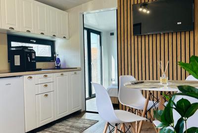 Casă cu 2 camere în Drăguș - 8