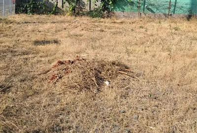 Bratianu..teren 305 metri cu descghidere dubla de 17 metri - 3