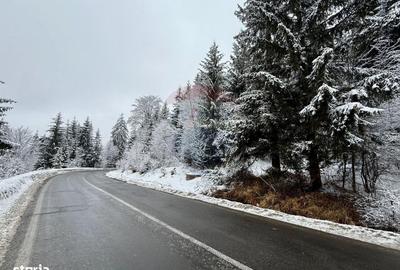 Teren de 1419 mp, în Calea Moroieni - 4