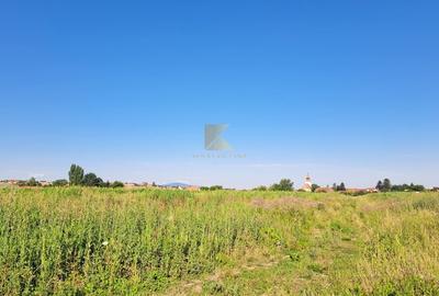 Posibilitate RATE | Teren Bod | curti constructii | utilitati | PUZ, - 11