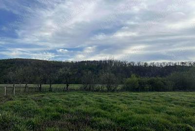 Casa tradi?ionala cu cerdac ,gradina mare 3217 si teren 4000 mp un total de 7217 mp.Curent trifazic - 5